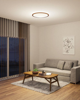 ODELIC �����ǥ�å� ������󥰥饤�� OL291324GR �̿�1