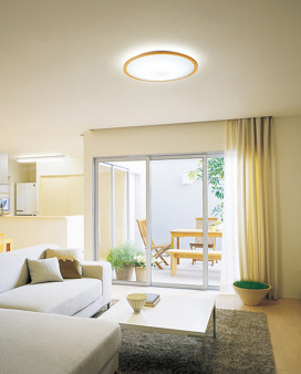 ODELIC �����ǥ�å� ������󥰥饤�� OL291327GR �̿�1