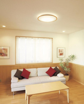 ODELIC �����ǥ�å� ������󥰥饤�� OL291327GR �̿�3