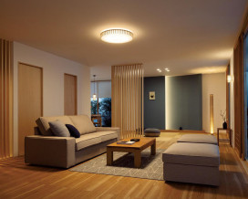 ODELIC �����ǥ�å� ������󥰥饤�� OL291505GR �̿�4