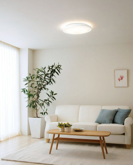 ODELIC �����ǥ�å� ������󥰥饤�� OL291554GR �̿�2