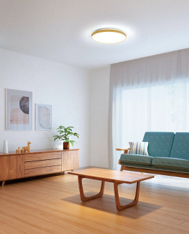 ODELIC �����ǥ�å� ������󥰥饤�� OL291558GR �̿�2