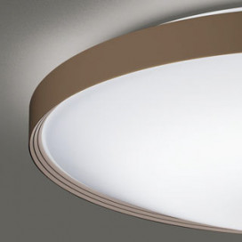 ODELIC �����ǥ�å� ������󥰥饤�� OL291562GR �̿�2