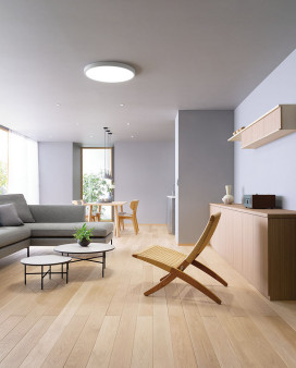 ODELIC �����ǥ�å� ������󥰥饤�� OL291684BR �̿�2