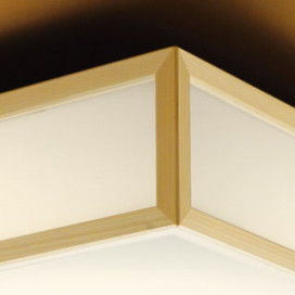 ODELIC �����ǥ�å� ����������󥰥饤�� OL291699NR �̿�2