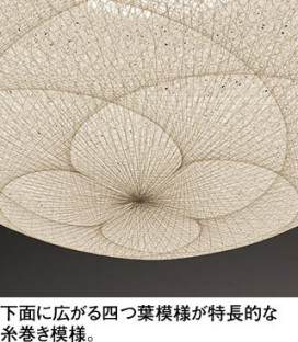 ODELIC �����ǥ�å� �����ڥ����ȥ饤�� OP252930NR �̿�2