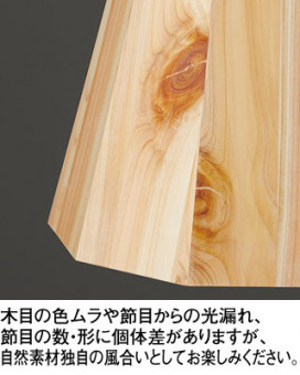 ODELIC �����ǥ�å� �ڥ����ȥ饤�� OP252939WR �̿�1