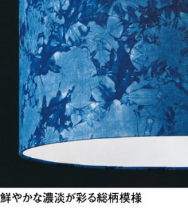 ODELIC �����ǥ�å� �����ڥ����ȥ饤�� OP252966NR �̿�1