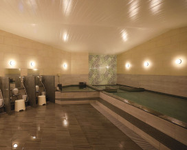 ODELIC �����ǥ�å� �Х��롼��饤�� OW269052WR �̿�1