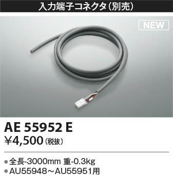 β | Koizumi ߾ üҥͥ AE55952E