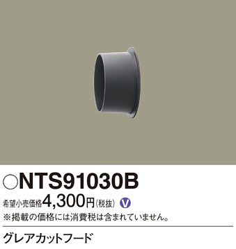 Panasonic ¾° NTS91030B ᥤ̿