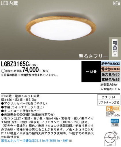 Panasonic LED  LGBZ3165C ᥤ̿