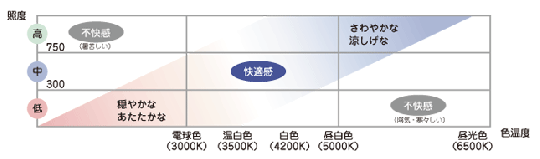 롼ո̤LEDĴ