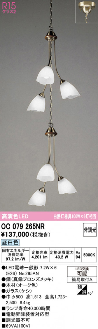 ODELIC �����ǥ�å� ��ȴ������ OC079265NR �ᥤ��̿�