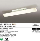 ODELIC OL001813L