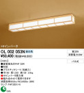 ODELIC OL002053N