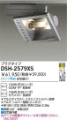 DAIKO HIDݥåȥ饤 DSH-2579XS