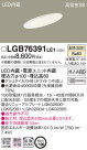 Panasonic 饤 LGB76391LE1