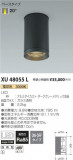 ߾ KOIZUMI ƥꥢ󥰥饤 XU48055LþʾLEDη¡ʰΡѤ䡡Ҹ -LIGHTING DEPOT-