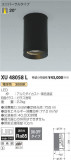 ߾ KOIZUMI ƥꥢ󥰥饤 XU48058LþʾLEDη¡ʰΡѤ䡡Ҹ -LIGHTING DEPOT-