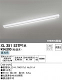 ODELIC ǥå ١饤 XL251537P1AþʾLEDη¡ʰΡѤ䡡Ҹ -LIGHTING DEPOT-
