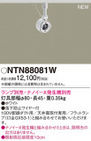 Panasonic ݥåȥ饤 NTN88081WþʾLEDη¡ʰΡѤ䡡Ҹ -LIGHTING DEPOT-