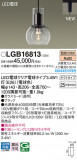 Panasonic ڥȥ饤 LGB16813þʾLEDη¡ʰΡѤ䡡Ҹ -LIGHTING DEPOT-