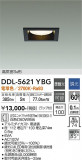 DAIKO ŵ 饤 DDL-5621YBGþʾLEDη¡ʰΡѤ䡡Ҹ -LIGHTING DEPOT-
