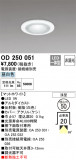 ODELIC ǥå 饤 OD250051þʾLEDη¡ʰΡѤ䡡Ҹ -LIGHTING DEPOT-