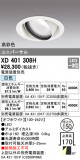 ODELIC ǥå 饤 XD401308HþʾLEDη¡ʰΡѤ䡡Ҹ -LIGHTING DEPOT-