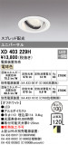 ODELIC ǥå 饤 XD403229HþʾLEDη¡ʰΡѤ䡡Ҹ -LIGHTING DEPOT-