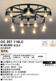 ODELIC ǥå ǥꥢ OC257119LCþʾLEDη¡ʰΡѤ䡡Ҹ -LIGHTING DEPOT-