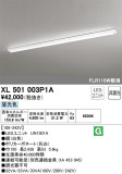 ODELIC ǥå ١饤 XL501003P1AþʾLEDη¡ʰΡѤ䡡Ҹ -LIGHTING DEPOT-