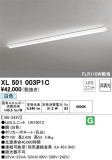 ODELIC ǥå ١饤 XL501003P1CþʾLEDη¡ʰΡѤ䡡Ҹ -LIGHTING DEPOT-