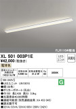 ODELIC ǥå ١饤 XL501003P1EþʾLEDη¡ʰΡѤ䡡Ҹ -LIGHTING DEPOT-