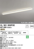 ODELIC ǥå ١饤 XL501003P2EþʾLEDη¡ʰΡѤ䡡Ҹ -LIGHTING DEPOT-