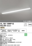 ODELIC ǥå ١饤 XL501006P1EþʾLEDη¡ʰΡѤ䡡Ҹ -LIGHTING DEPOT-