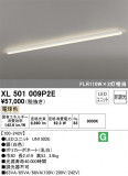 ODELIC ǥå ١饤 XL501009P2EþʾLEDη¡ʰΡѤ䡡Ҹ -LIGHTING DEPOT-