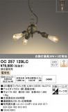 ODELIC ǥå ǥꥢ OC257129LCþʾLEDη¡ʰΡѤ䡡Ҹ -LIGHTING DEPOT-