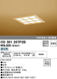 ODELIC ǥå ١饤 OD301207P2BþʾLEDη¡ʰΡѤ䡡Ҹ -LIGHTING DEPOT-