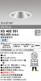 ODELIC ǥå 饤 XD402551þʾLEDη¡ʰΡѤ䡡Ҹ -LIGHTING DEPOT-