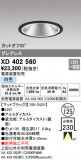 ODELIC ǥå 饤 XD402560þʾLEDη¡ʰΡѤ䡡Ҹ -LIGHTING DEPOT-