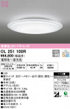 ODELIC ǥå 󥰥饤 OL251100RþʾLEDη¡ʰΡѤ䡡Ҹ -LIGHTING DEPOT-