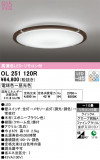 ODELIC ǥå 󥰥饤 OL251120RþʾLEDη¡ʰΡѤ䡡Ҹ -LIGHTING DEPOT-