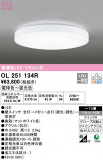 ODELIC ǥå 󥰥饤 OL251134RþʾLEDη¡ʰΡѤ䡡Ҹ -LIGHTING DEPOT-