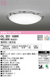 ODELIC ǥå 󥰥饤 OL251169RþʾLEDη¡ʰΡѤ䡡Ҹ -LIGHTING DEPOT-