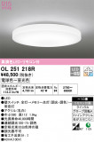 ODELIC ǥå 󥰥饤 OL251218RþʾLEDη¡ʰΡѤ䡡Ҹ -LIGHTING DEPOT-