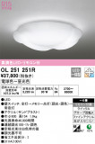 ODELIC ǥå 󥰥饤 OL251251RþʾLEDη¡ʰΡѤ䡡Ҹ -LIGHTING DEPOT-