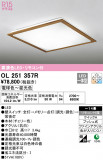 ODELIC ǥå 󥰥饤 OL251357RþʾLEDη¡ʰΡѤ䡡Ҹ -LIGHTING DEPOT-