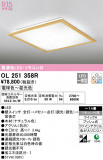 ODELIC ǥå 󥰥饤 OL251358RþʾLEDη¡ʰΡѤ䡡Ҹ -LIGHTING DEPOT-